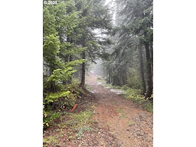 0 Calapooia Rd unit 498469836, Sweethome, OR 97386 - photo 3