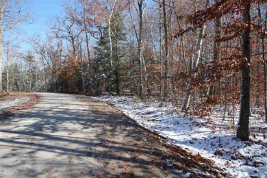 15 Deep Woods Cir unit Lot 15, Winhall, VT 05255 - photo 2
