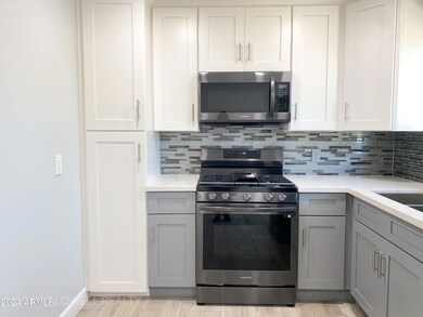 2626 E Culver St, Phoenix, AZ 85008 - photo 3