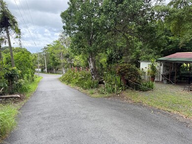 SR 312 km 1.5 Sector Las Magas Bo Llanos Tuna, Cabo Rojo, PR 00623 - photo 6
