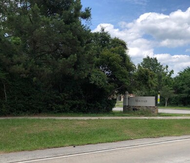 19 Caelin Ct, Spring, TX 77382 - photo 7