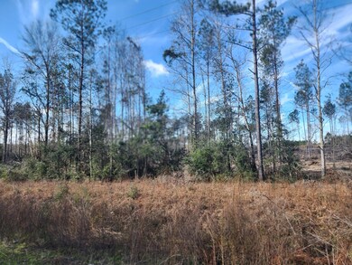 0 Paul McMilian Road (Tract 7) unit 2-5629, Deridder, LA 70634 - photo 3