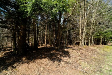 0 Opal Ridge Dr unit 21012894, Onekama, MI 49675 - photo 3