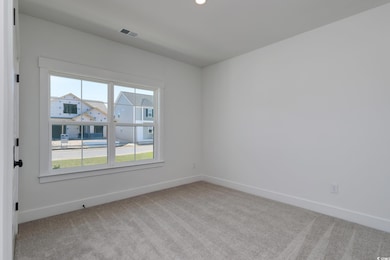 Carpeted spare room featuring healthy amount of natural light and baseboards