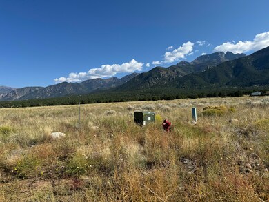 IMG_8713