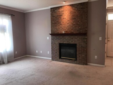 Living Room Fireplace