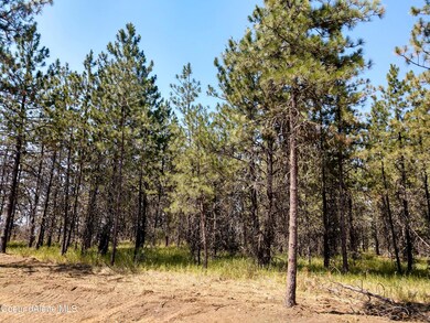 L4B1 N Sheep Springs Rd, Athol, ID 83801 - photo 2