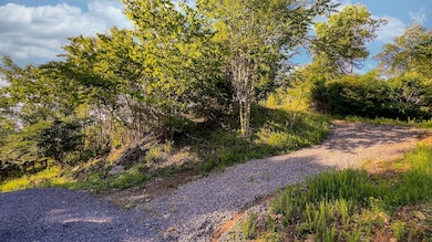 0 Tranquility Trail unit 20325655, Dandridge, TN 37725 - photo 7