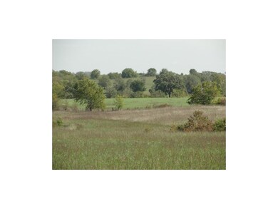 Brome Hayfield