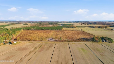 00000 Gum Bridge Rd, Elizabeth City, NC 27909 - photo 3