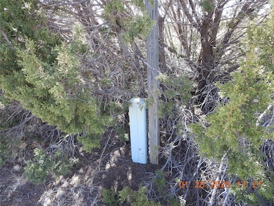 16 Calle Largo, Ribera, NM 87560 - photo 6