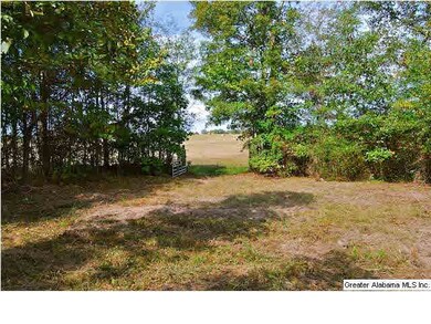 Area at the front of the property is kept bush-hog