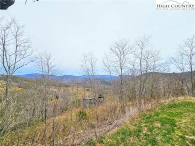 851 E Whenlin Ridge Rd, Lansing, NC 28643 - photo 3