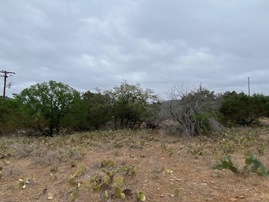 Lot 22 Cr 140, Burnet, TX 78611 - photo 4