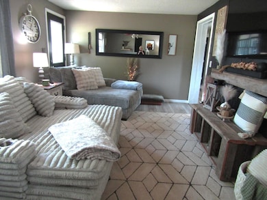 321 Olivia St, Holloway, MN 56249 - photo 5