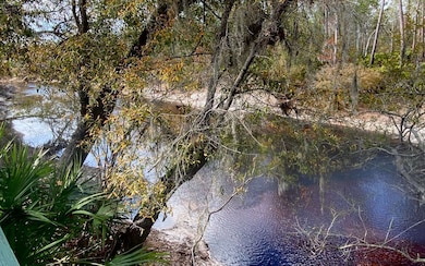 344 NW Null Rd, White Springs, FL 32096 - photo 6