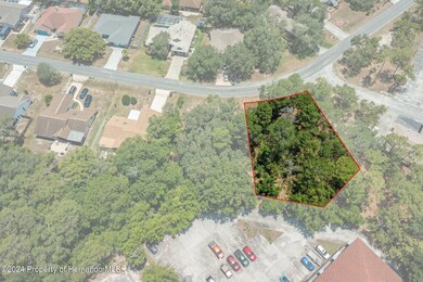 11-web-or-mls-DJI_0255_outlinesa