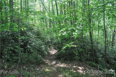 701 Chestnut Trail unit Lot 8, Hendersonville, NC 28792 - photo 3