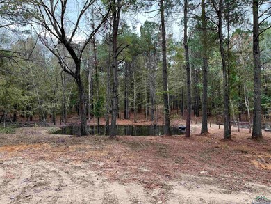 TBD Cr 233, Arp, TX 75750 - photo 2