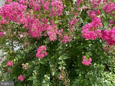 1036 S King St, Palmyra, PA 17078 - photo 7