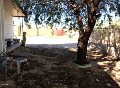 back yard 1