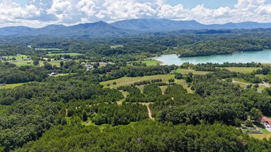 1430 Swannsylvania Rd, Dandridge, TN 37725 - photo 4