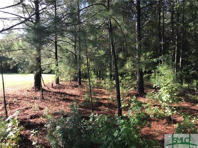 104 Harmony Dr, Springfield, GA 31329 - photo 4