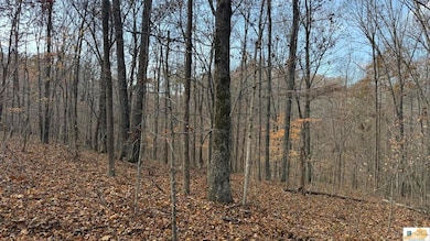 527 Chestnut Grove Cemetery Rd, Bonnieville, KY 42713 - photo 7