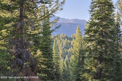 6620 Lupine Trail, Wilson, WY 83014 - photo 3