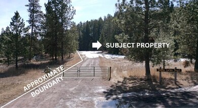 Front Gate / Driveway Installed