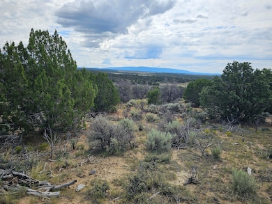0 Lindrith Nm unit 1069027, Lindrith, NM 87029 - photo 7