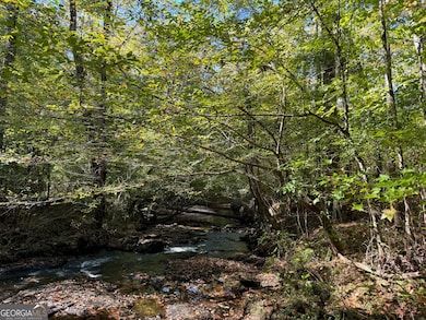 312.37 AC W Ellis Rd, Griffin, GA 30223 - photo 2