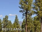lot 262