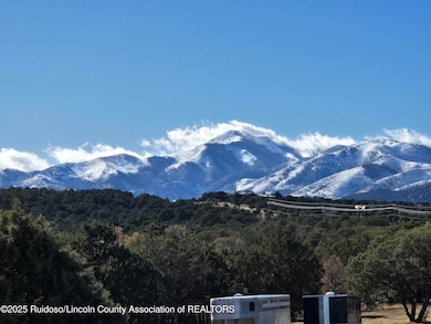 452 Nm State Hwy 220 Airport Rd, Alto, NM 88312 - photo 4