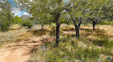 205 Trophy Ln, Poteet, TX 78065 - photo 7