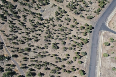 10164 SE Sundown Ln, Prineville, OR 97754 - photo 2