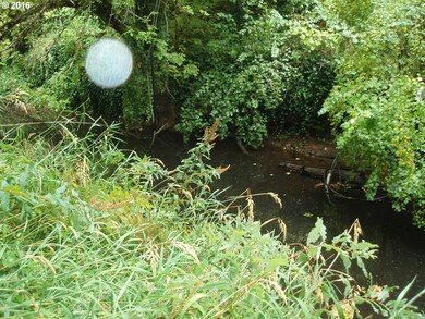 0 Blitz Ln, Blodgett, OR 97326 - photo 3