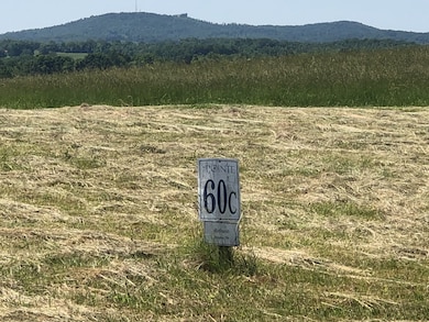 60C Walleye Rd, Hilham, TN 38551 - photo 3