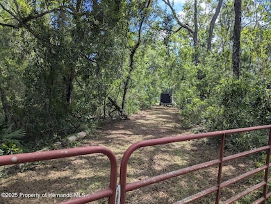 9001 Treiman Blvd, Rdg Mnr Est, FL 33597 - photo 2