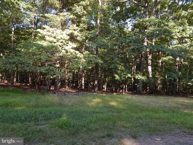 103A Sideling Mountain Trail, Great Cacapon, WV 25422 - photo 3