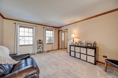 1208 Leverenz Rd, Naperville, IL 60564 - photo 5