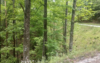 Additional View