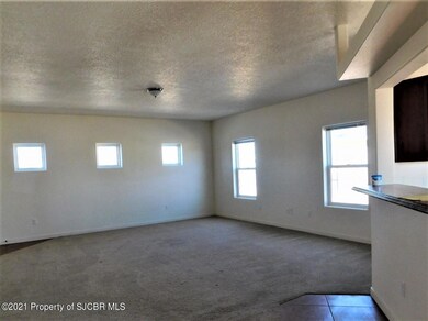 28 County Road 3791, Farmington, NM 87401 - photo 2