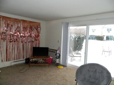 50 Meadow St unit 13, Amherst, MA 01002 - photo 6