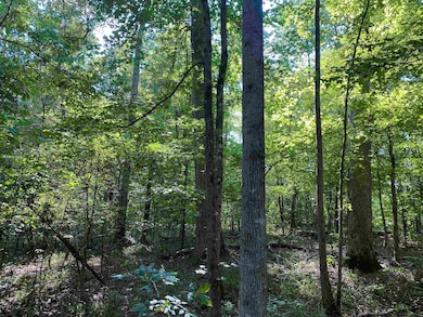 1 Treece Ln, Adamsville, TN 38310 - photo 3