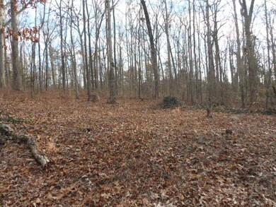 117 Shannon Dr, Pendleton, SC 29670 - photo 4