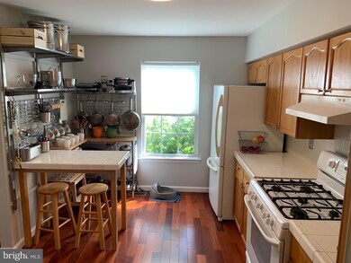 5007 Esther Reed Dr, Doylestown, PA 18902 - photo 5