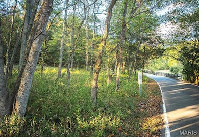 3107 Bouquet Rd, Glencoe, MO 63038 - photo 3