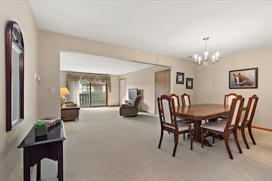 8058 Autobahn Dr S unit 202, Palos Park, IL 60464 - photo 7