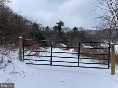 1124 Dormantown Rd, Mc Clure, PA 17841 - photo 4